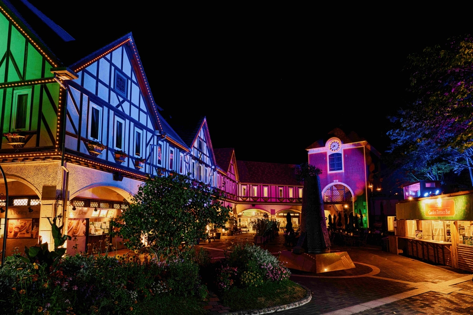 イルミネーション企画「光の森～Forest of Illuminations～」