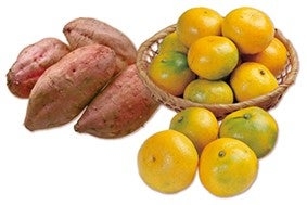 鹿児島県産 安納紅&早生みかんの詰め合わせ