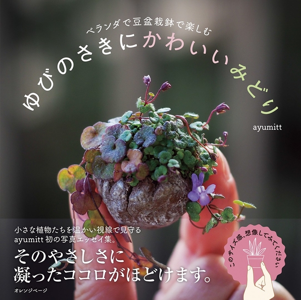 『ベランダで豆盆栽鉢で楽しむ ゆびのさきにかわいいみどり』（帯あり）