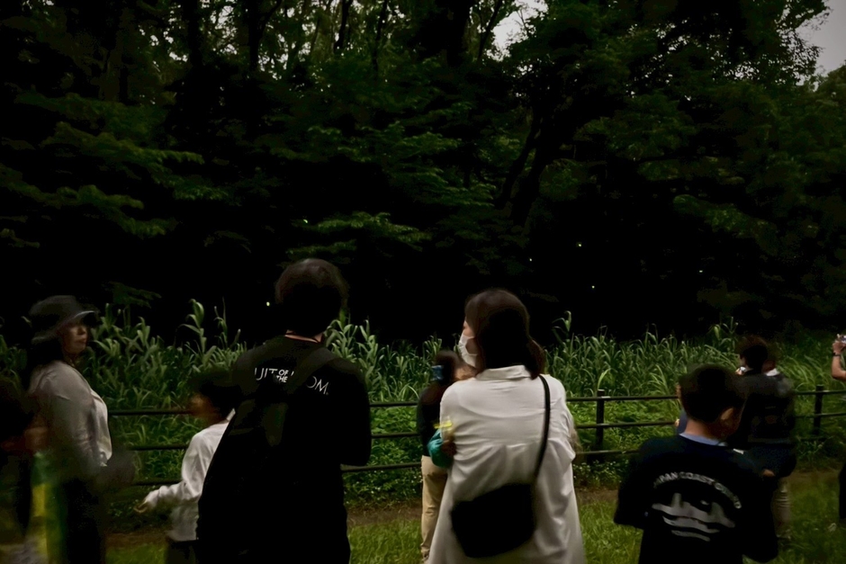 2025年の「夜のホタル観察会」の様子