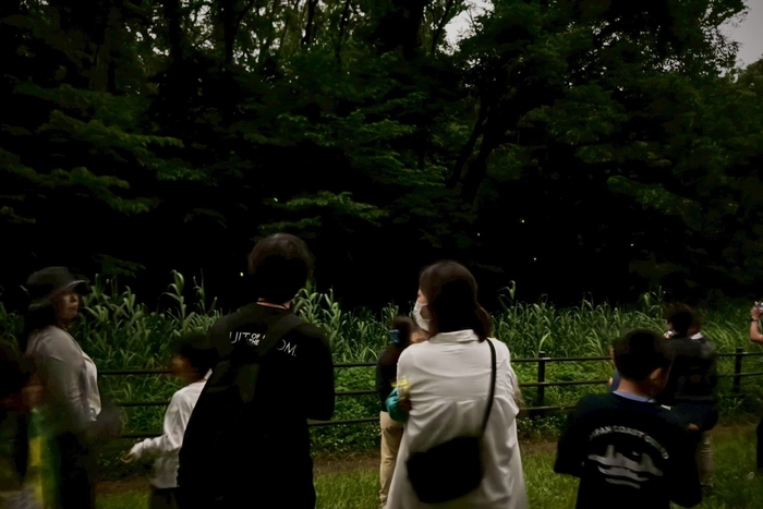 2025年の「夜のホタル観察会」の様子