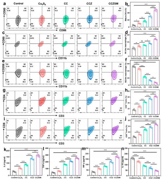 図 2 CCZSM による免疫抑制性腫瘍微小環境の改善評価(ACS Nano 掲載図)