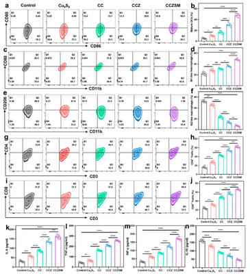 図 2 CCZSM による免疫抑制性腫瘍微小環境の改善評価(ACS Nano 掲載図)