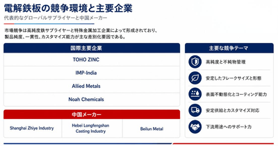図:世界の電解鉄板の競争環境と主要企業