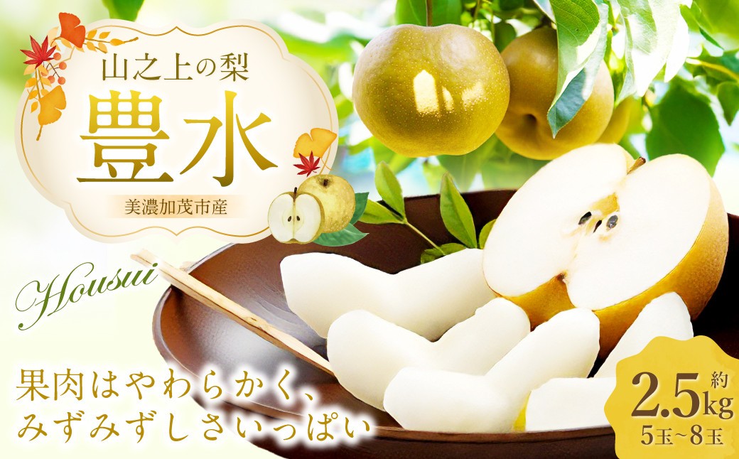 【岐阜県美濃加茂市のふるさと納税】梨の名産地・山之上地区から直送！4種類の旬の梨 各種2.5kgを受付中