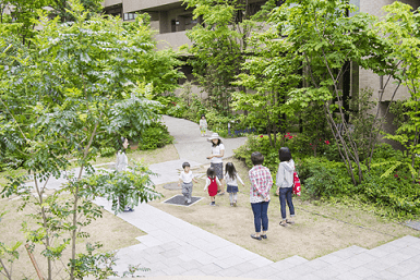 「5本の樹」計画(集合住宅の一例)