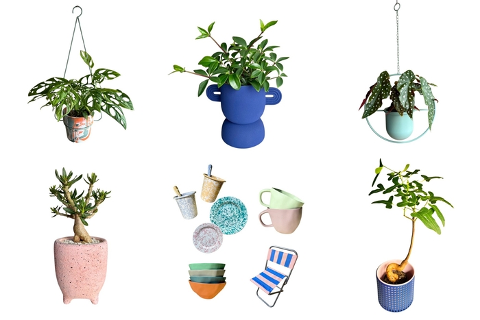 店主が一点一点セレクトした個性豊かな植物と、国内外からセレクトした暮らしの雑貨。