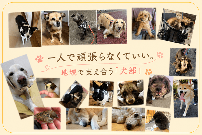 （出会いと別れ、たくさんの笑顔と涙。一つ一つの命が輝きますように）