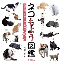 8月8日「世界ネコの日」に『ネコもよう図鑑』を刊行　 街で出会うネコたちがいつもと違って見えてくる！