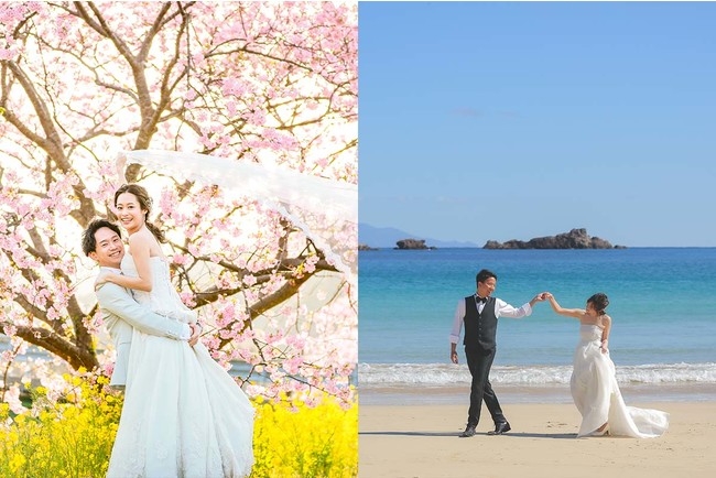 ※33,000円OFF適用後の価格です