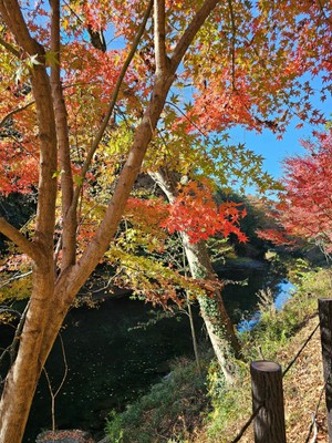 嵐山渓谷の紅葉