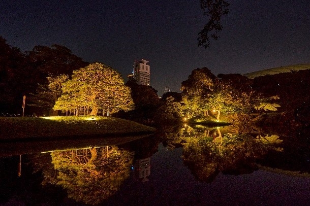 一つ松・蓬莱島のライトアップ(イメージ)