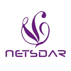 ネットスターロボットソリューションズ株式会社