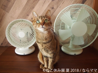 「ねこ休み展」開催目前、初出展作家など最新情報公開！ 人気作家のにゃんこまみれ立体作品や3,333名限定特典も