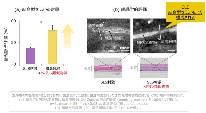 図2 外部刺激による結合型セラミドの減少に対するヘパリン類似物質の作用