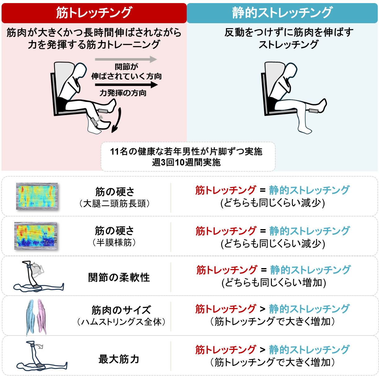 「筋トレはストレッチングの代わりになるのか?」
筋肉を"柔らかく"・"強く"・"大きく"する一石三鳥の新たな筋トレ法