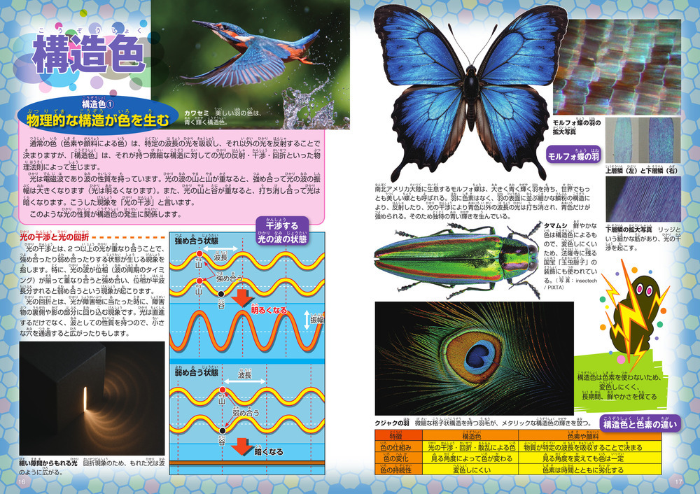 ずかん「色」(技術評論社) 構造色