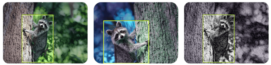 画像増幅機能イメージ