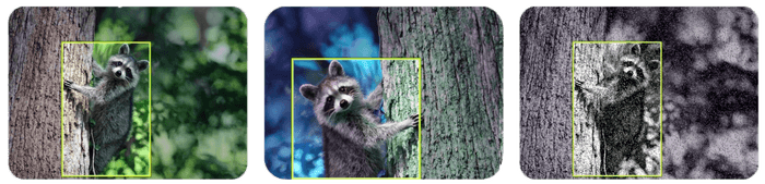 画像増幅機能イメージ