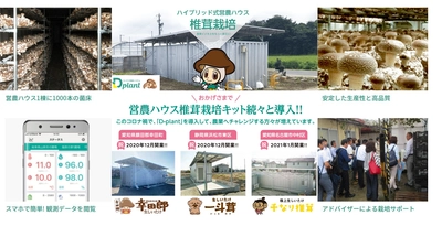 お客様導入事例続々！！ハイブリット式営農ハウス「D-plant」で 農業へのチャレンジをサポート『レンテック大敬株式会社』