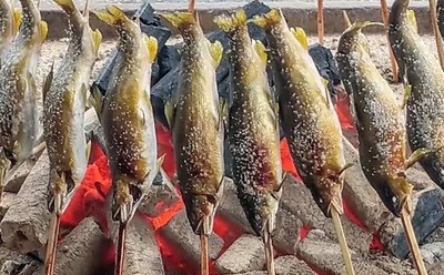鮎の塩焼き