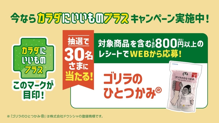 キャンペーン企画販促物画像１（画像はイメージです。）