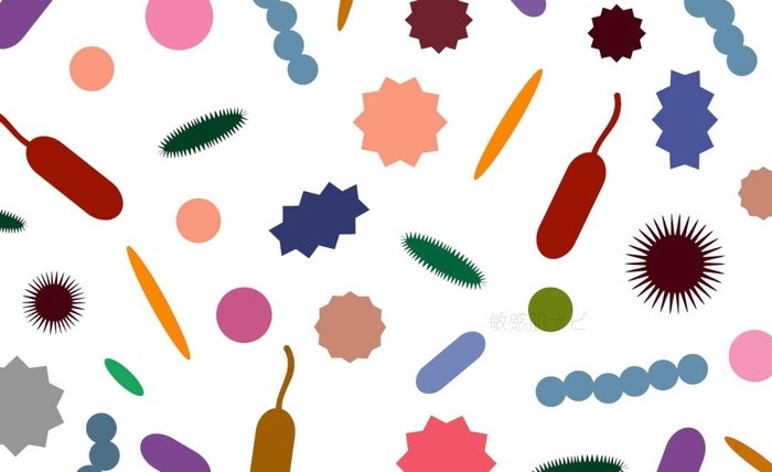 マイクロバイオームイメージ