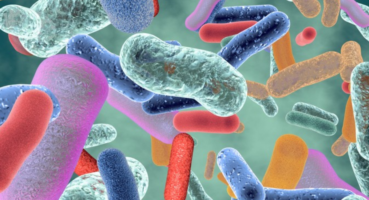 ユービオティックス市場は、2026年までに86億ドル以上、年平均成長率は5.6%に達する見込み