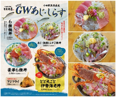 GW限定！しらす・あじの旬を食べ尽くす！