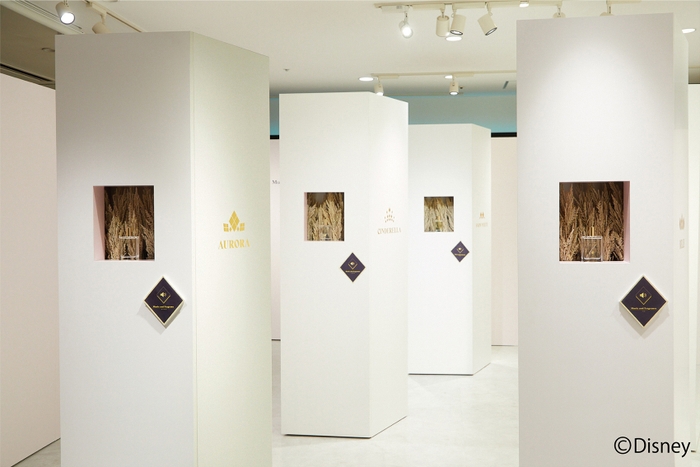 ディズニープリンセス展 会場内の様子