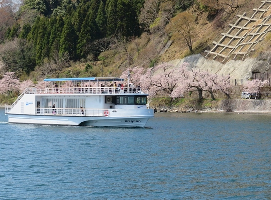 びわ湖の最北端、日本さくら名所100選「海津大崎の桜」を愛でるお花見船を期間限定で運航！ 「海津大崎桜クルーズ2025」