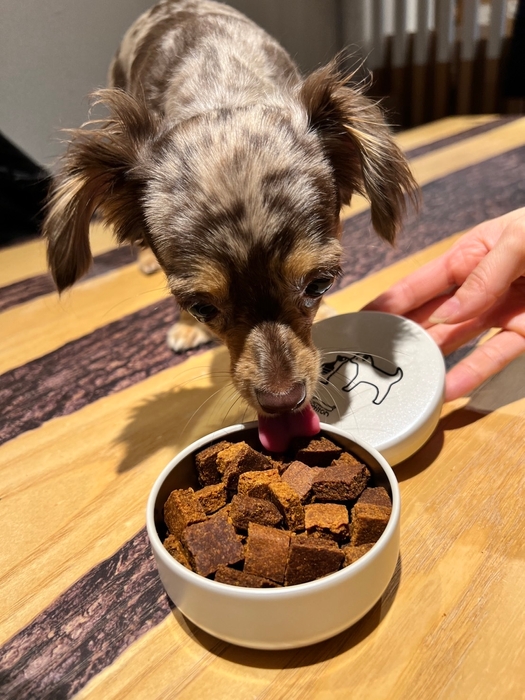 実際に試食している場面2
