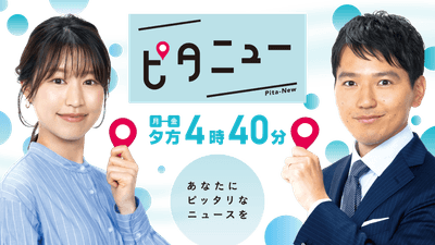ピタニュー