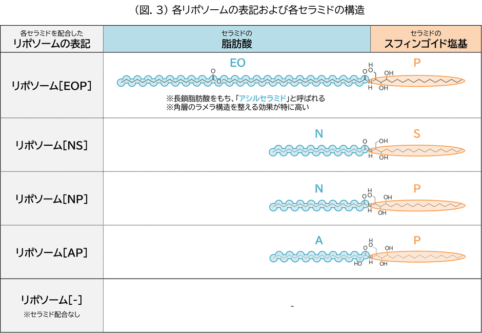 (図.3)各リポソームの表記および各セラミドの構造