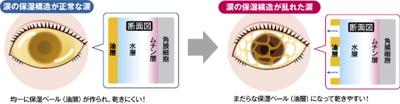 意外と知らない！？ 毎日のアイメイクで気をつけたいポイント　 瞳を大きく見せるメイク、 実はドライアイを深刻化させている可能性　 目に優しいアイメイクとケア方法を “瞳の保湿ベール”を乱す原因と共に解説
