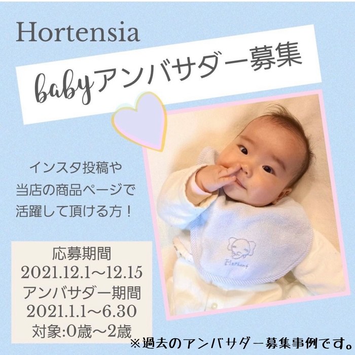 過去のアンバサダー募集記事