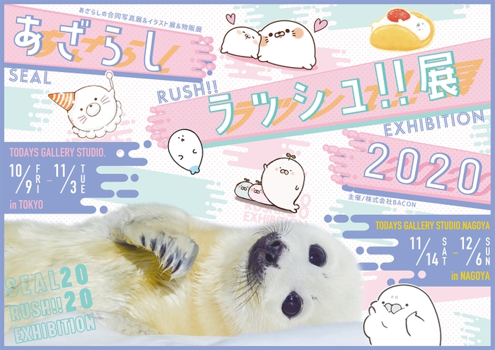キービジュアル(横)