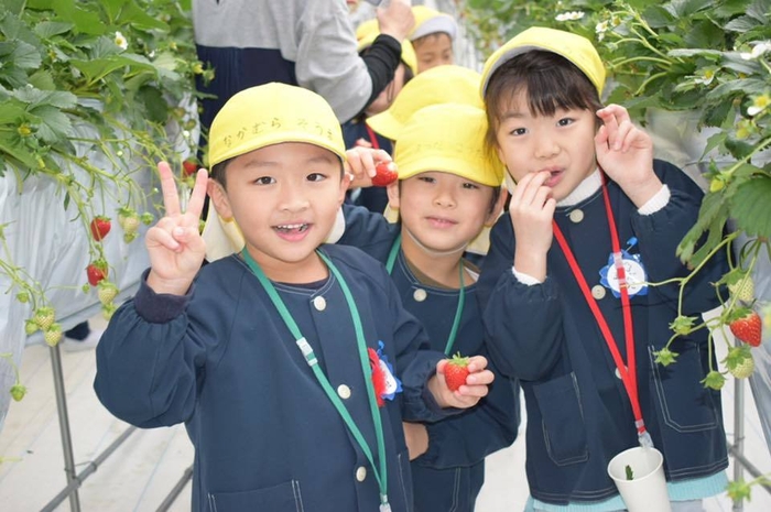 いちご狩り