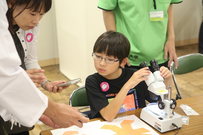 2日目の「石や砂で自由研究」の一幕です