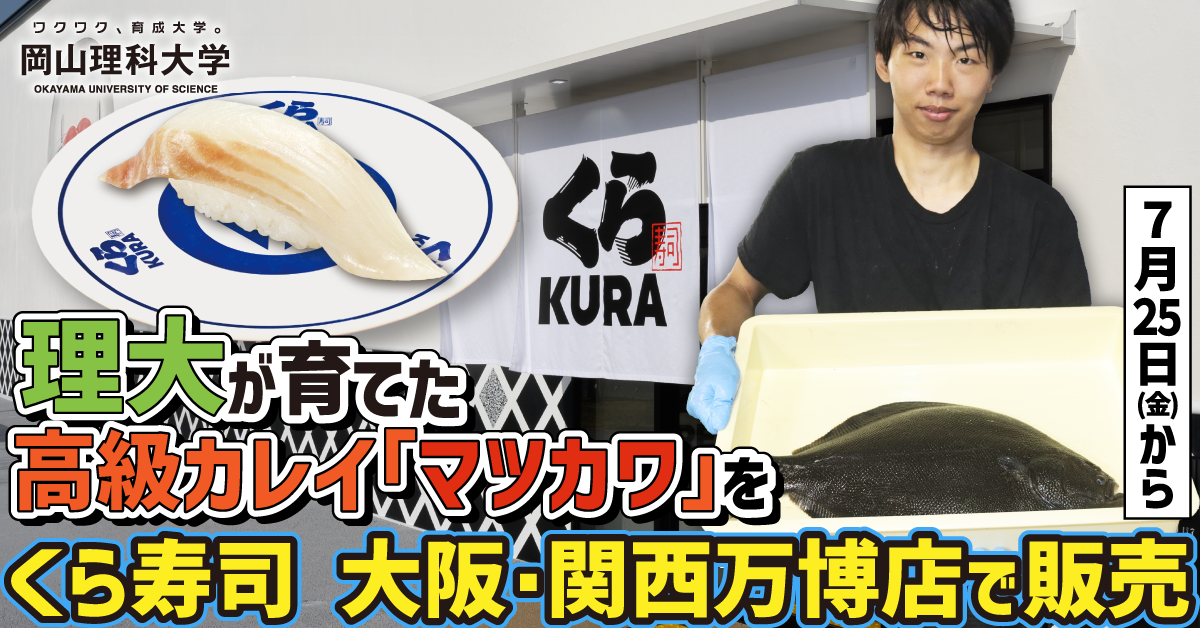 【岡山理科大学】理大が育てた高級カレイ「マツカワ」をくら寿司 大阪・関西万博店で販売　　7/25(金)から