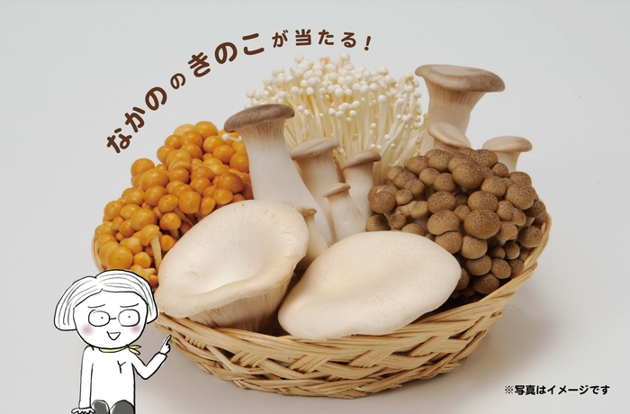 プレゼント商品画像