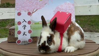 淡路島にある小さな動物園「のじま動物園」限定イベント盛りだくさん！ 動物たちと春を満喫『春のどうぶつえんまつり』 3月・4月に開催！