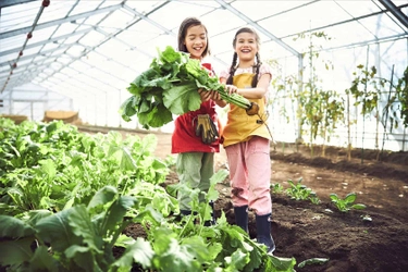 【リゾナーレ那須】星野リゾート　リゾナーレとカゴメによる野菜摂取推進プロジェクト第三弾 8月31日は野菜の日！リゾナーレ那須×カゴメによる野菜づくしの祭典「ベジフェス」開催｜開催日：2022年8月31日～9月1日（１泊2日）