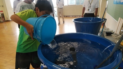 子どもの心の葛藤「命を頂くこと」の意味を考える　 千葉の小学生　陸上養殖したヒラメの今後を議論　 「いのちの授業」2020年2月17日(月)／ 「結論実行の授業」2020年3月3日(火)　 ＜野田市立関宿小学校＞