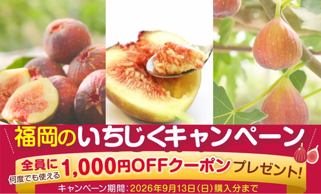 福岡県産の旬のいちじくが勢揃い！なめらか＆プチプチ食感をお得に楽しめる！「福岡いちじくキャンペーン」で購入者全員に次回使える1000円クーポンをプレゼント！JAタウンの「博多うまかショップ」で販売