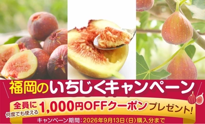 福岡県産の旬のいちじくが勢揃い！なめらか＆プチプチ食感をお得に楽しめる！「福岡いちじくキャンペーン」で購入者全員に次回使える1000円クーポンをプレゼント！JAタウンの「博多うまかショップ」で販売