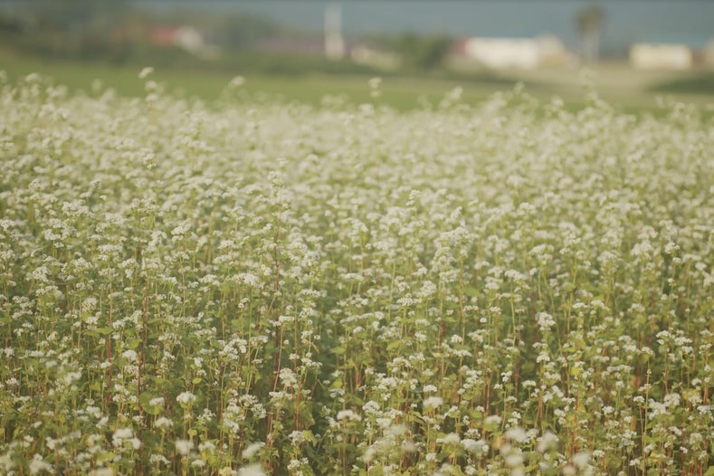 北海道発新ブランド牛「幌加内和牛」が誕生。ツキヒホールディングス株式会社が店舗設計・プロジェクトマネジメントやコンテンツ制作等トータルプロデュース。