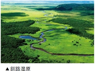 日本航空 × 阪急交通社共同企画 初企画！中国・四国すべての空港※⇔女満別空港 JAL 9日連続チャーター 北海道 道東絶景の旅3日間発売