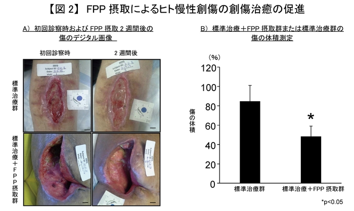 【図2】FPP摂取によるヒト慢性創傷の創傷治癒の促進