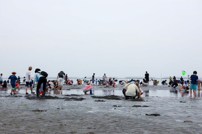 富津海岸潮干狩場　風景